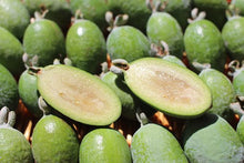 Load image into Gallery viewer, Pineapple Guava
