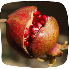 Load image into Gallery viewer, Pomegranate