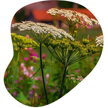 Load image into Gallery viewer, Yarrow
